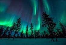 northern-lights-photography-finland-63-584e5d7b5fe91__880